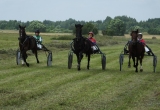 No kreisās puses: M. Brokāns ar zirgu Cheroke, A. Straujupa ar zirgu Vale Valk un S. Soikāne ar zirgu Power Lady. Foto: Inese Ruskule