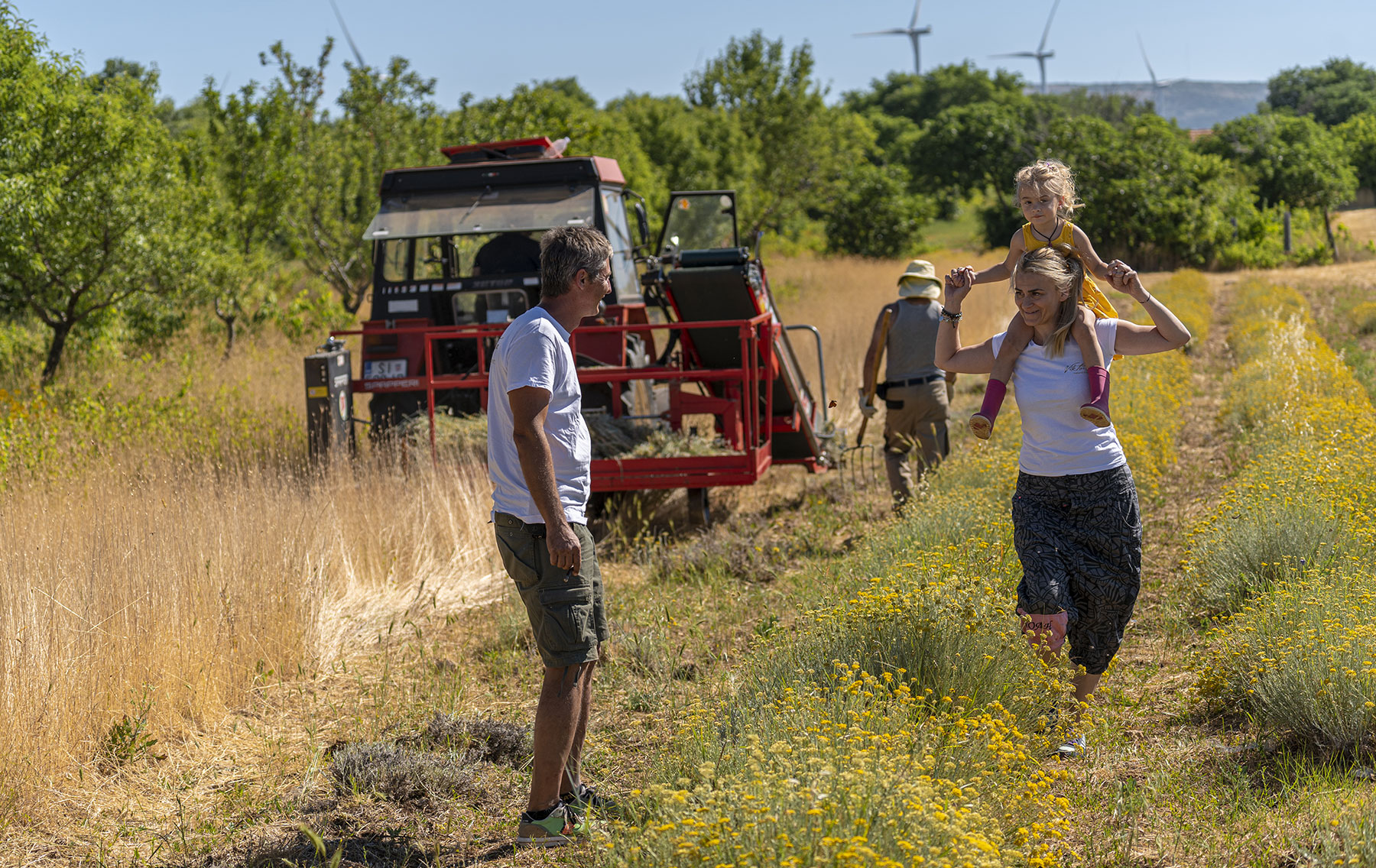 Farm to Face Cosmetics project from Croatia, finalist in ARIA 2024 edition